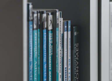 Biscuit People - Books
