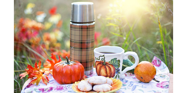 Tricks and Treats With Designed Halloween Biscuits – Let's Bake and Celebrate!