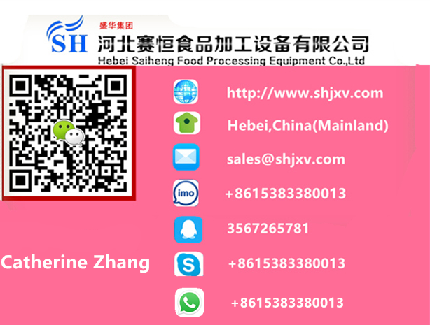 Hebei Saiheng Food Processing Equipment Co.,Ltd