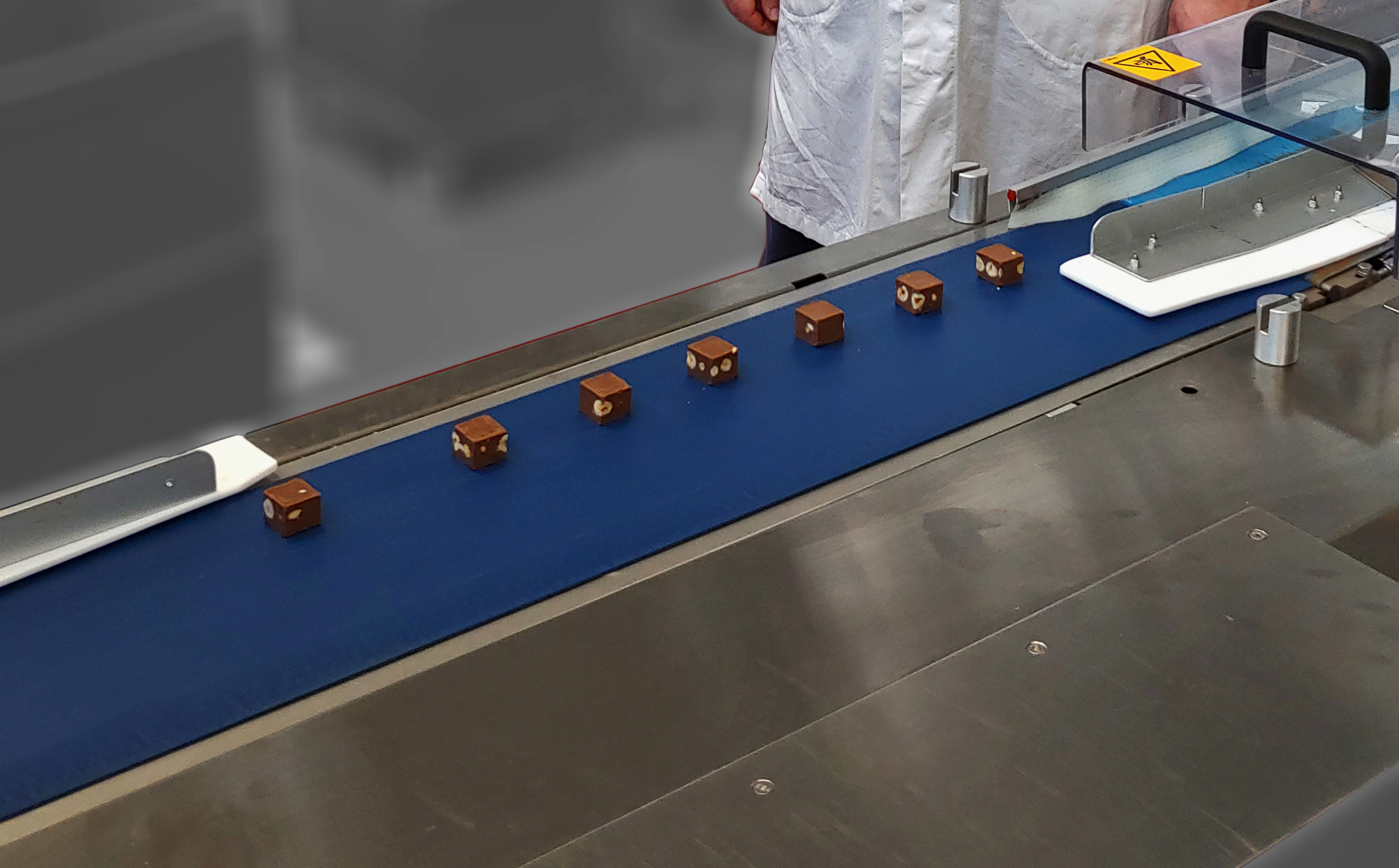 The new Dectyl metal-detectable belt range for improved Food Safety!