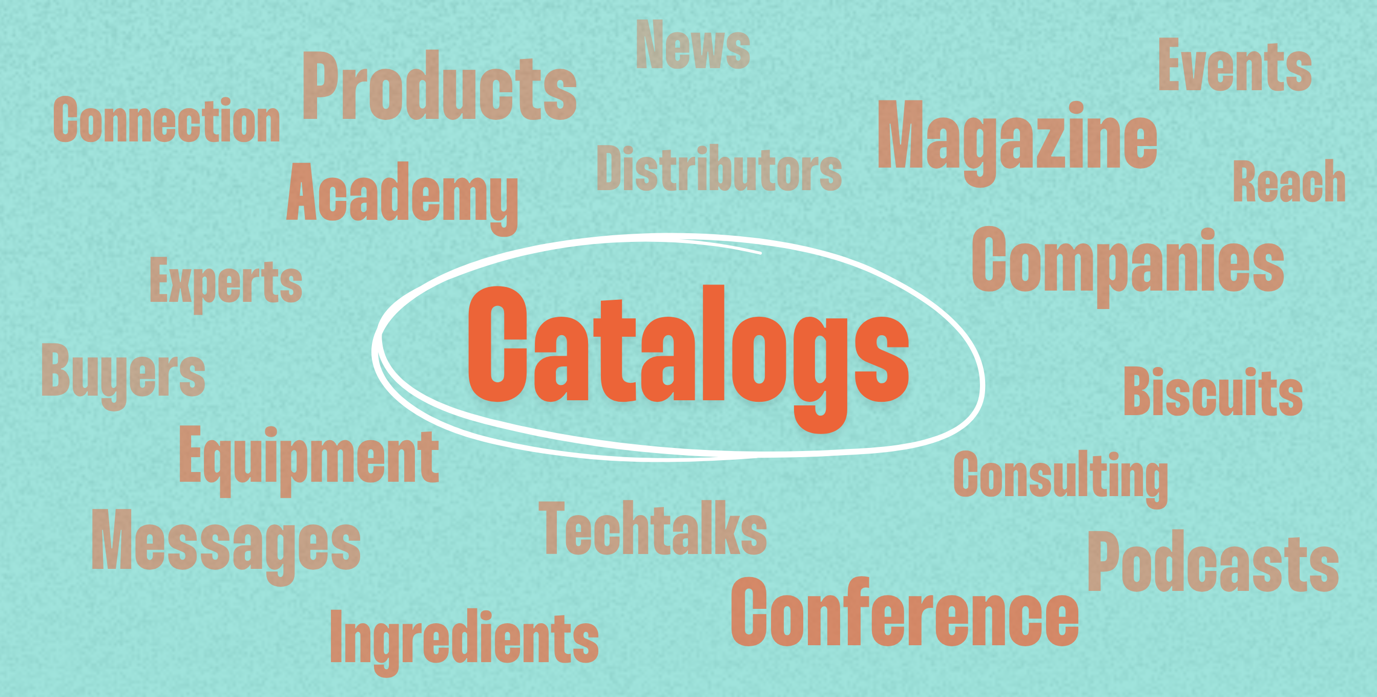 New Feature Launched: Biscuit People Catalogs Simplifies Industry Sourcing