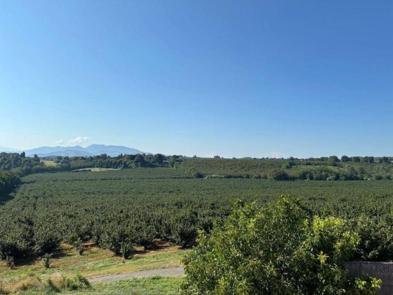 Loacker Strengthens Vertical Integration with Italian Hazelnut Acquisition and Processing Hub Expansion