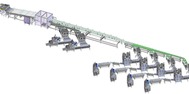 Equipment Complete flow packaging system for biscuits and crackers in stack portions and on edge inside trays produced by IMA FLX HUB