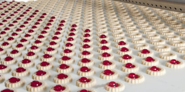 Services Fillings (Physical Course) produced by Bakery Academy