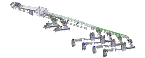 Equipment Complete flow packaging system for biscuits and crackers in stack portions and on edge inside trays produced by IMA FLX HUB