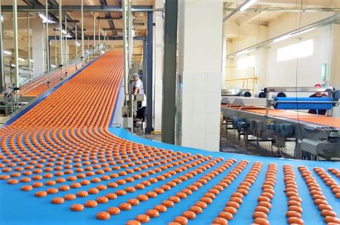 Equipment Conveying systems produced by Procys