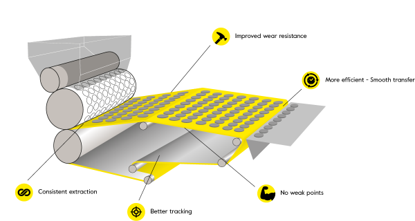 What Are Braybands and Why Are They Used?