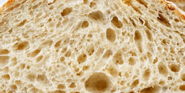 Fermentation Beyond Bread: The Future of Bakery Innovation