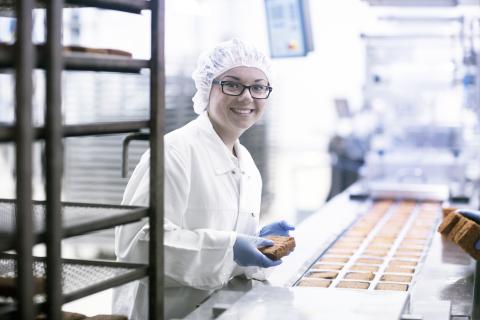 Biscuit People Jobs - Explore Sweet Career Opportunities (13 Mar - 19 Apr 2026)