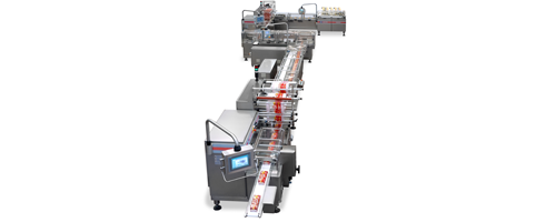 Equipment Automatic Packaging Line for Crackers on Edge produced by IMA FLX HUB