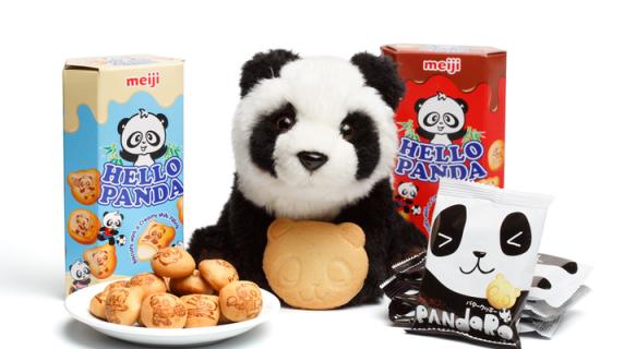Meiji: Say Hello to These Panda Cookies!