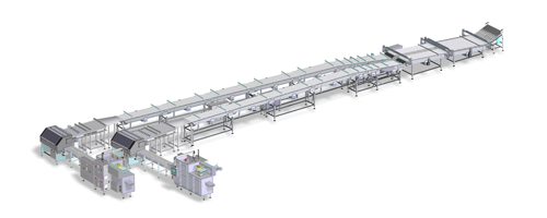 Equipment Fully automated handling and packaging line for biscuits on edge X-Fold style produced by IMA FLX HUB