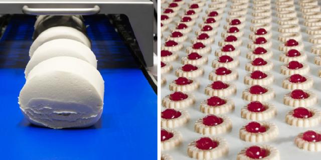 Discover Ammeraal Beltech’s Baking Innovations at iba 2023!