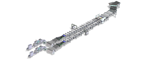 Equipment Fully automated line for handling and packaging biscuits on edge in flow pack style produced by IMA FLX HUB