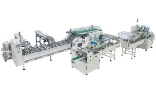 Sandwiching Automatic On Edge Packaging Line