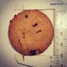 biscuit_technologist and 