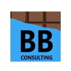 Brett Beardsell Consulting Consulting from United Kingdom logo