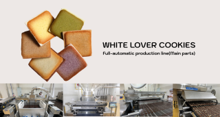 SINOBAKE White Lover(Language de chat) sandwich cookie production line Manufacturer