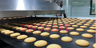 SINOBAKE  Full Automatic  Cookie Capper Making Machine