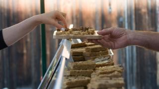 Setting Up Pilot Plant Facilities for Biscuits – Crackers