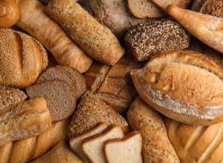 Bread Introduction (Physical Course)