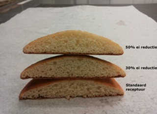 Egg Reduction Strategies (Physical Course)
