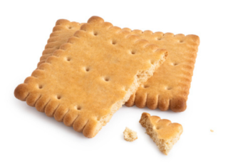 Biscuit Introduction (Physical Course)
