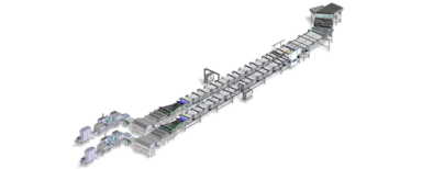 Equipment Fully automated line for handling and packaging biscuits on edge in flow pack style produced by IMA FLX HUB