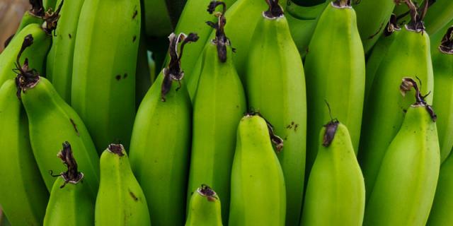 green bananas flour