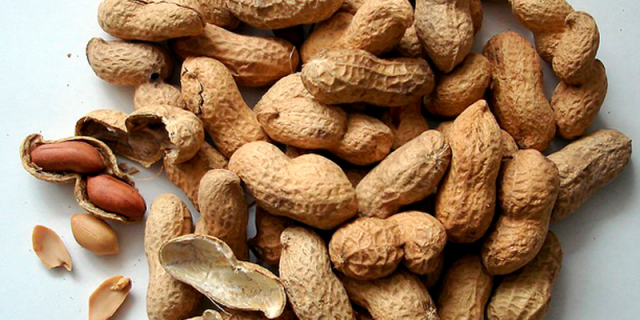 Peanuts for peanut butter cookies