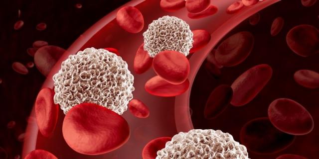 white blood cells, leukocytes