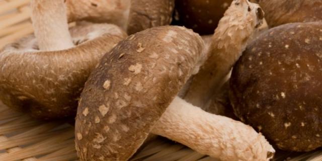 shiitake