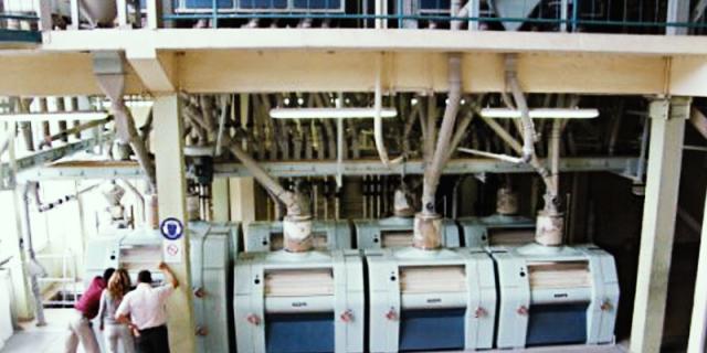 Best Flour - Milling equipment