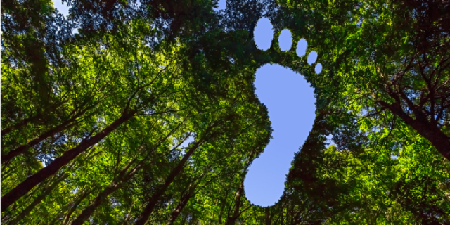 carbon footprint, using gas as a fuel