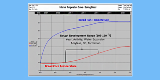 Internal Temperature Curve - Baking Bread