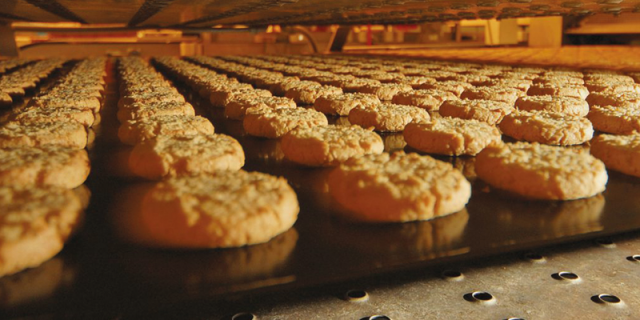 Bake Oven Inside