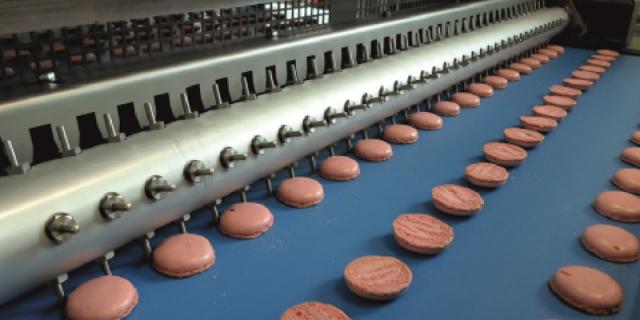 FIG 12 Procys  Cookie Capper: biscuit alignment 