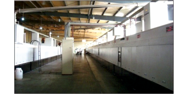 Electric ovens in China