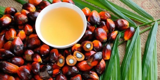 palm oil