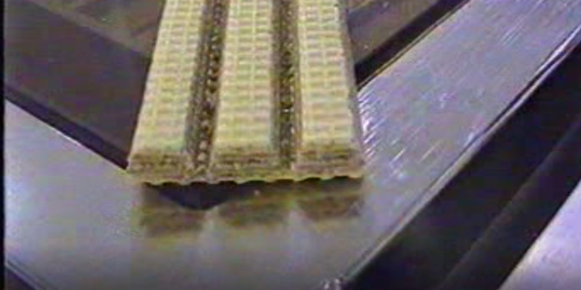 Three Finger Wafer Biscuit