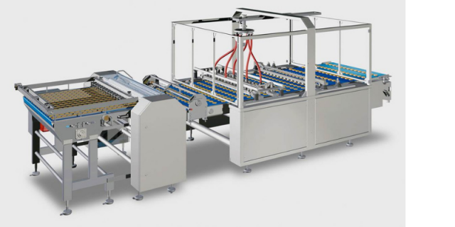Sandwich Biscuit Capper Tronic