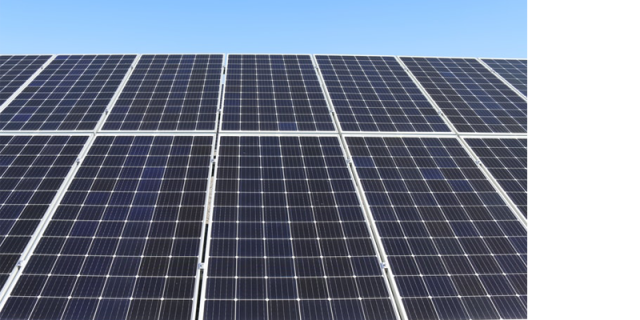 Solar Panels in Biscuit Industry