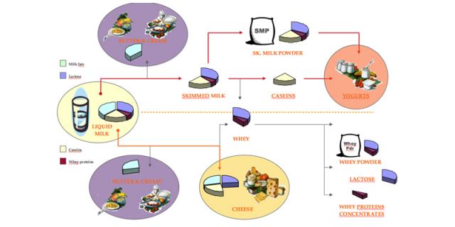 Milk Diagram