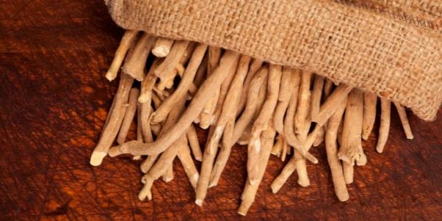 ashwagandha, Withania somnifera, winter cherry, Indian ginseng