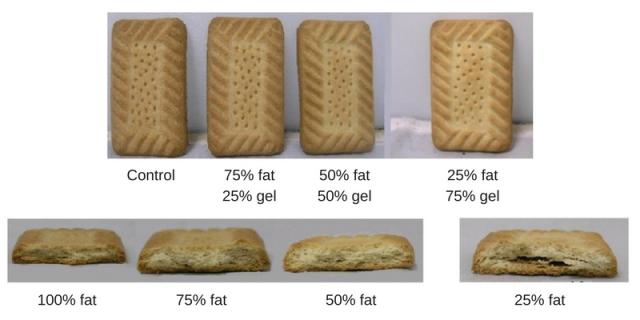 Fats in biscuits