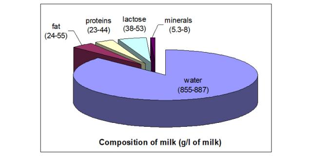 Composition of Milk