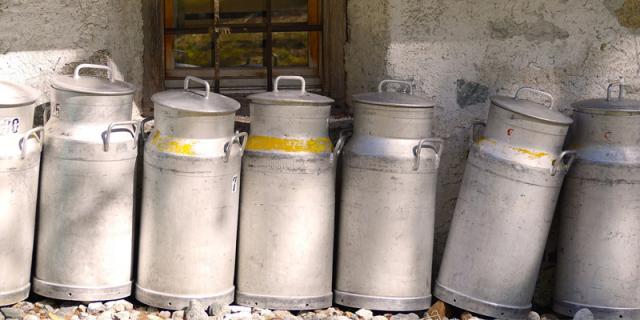 Milk Container