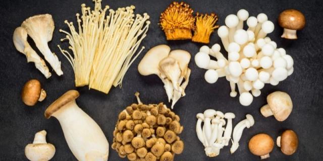 mushrooms
