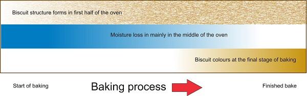 Biscuit Processing Flow Chart