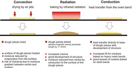 convection oven heat transfer